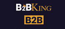 B2BKing-logo-small